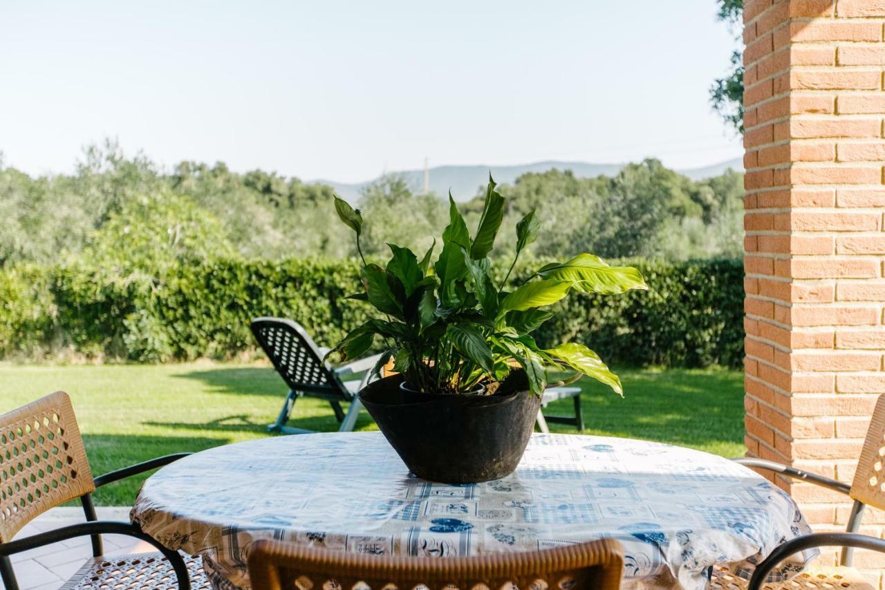 Agriturismo Casa Andreina Кастильоне-делла-Пеская Экстерьер фото