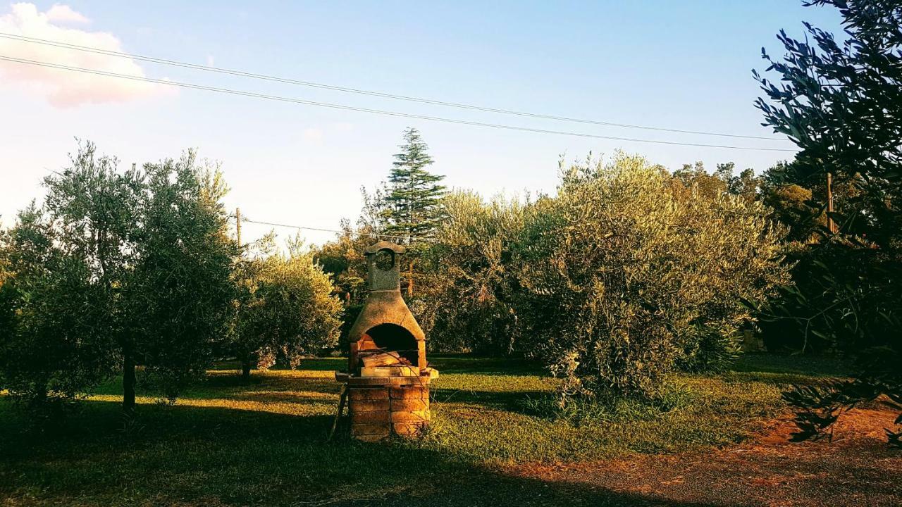 Agriturismo Casa Andreina Кастильоне-делла-Пеская Экстерьер фото